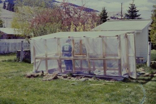 C1970 35mm slide - 35mm, greenhouse