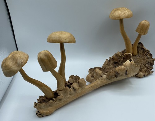 Wooden log mushroom - log,