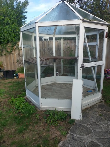 Octagonal greenhouse includes - octagonal,